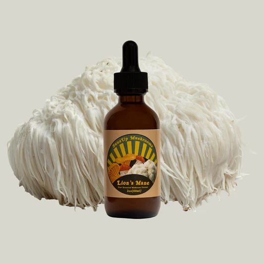 Lion's Mane Dual Extracted Tincture