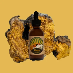 Dual extracted Chaga mushroom tincture