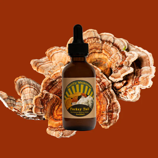 Dual Extracted Turkey Tail tincture